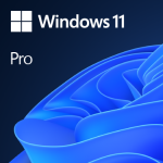Win 11 Pro
